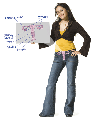 Image of reproductive girl provided by the U.S. government.